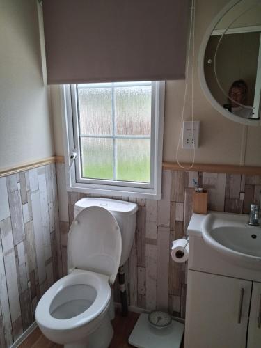 a bathroom with a toilet and a sink and a window at St Nicholas Number 5 in Turnberry