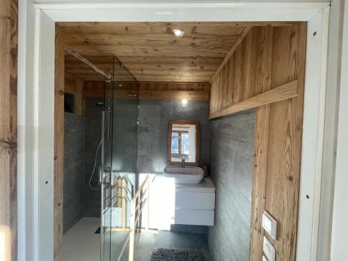 Chalet Sablod في لي كونتامين مونتجوا: حمام مزود بدُش زجاجي وحوض غسيل