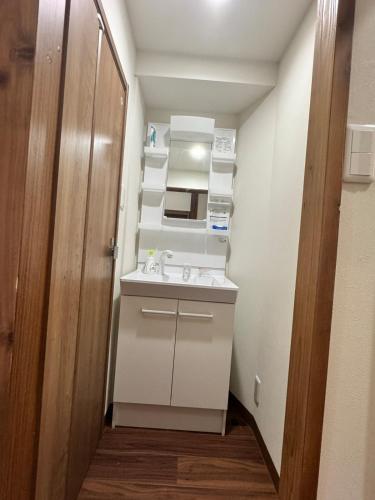 Akihabara, Skytree, Disney, Asakusa Temple, Traditional Japanese Ryokan, Airport Pick-up and Drop-off