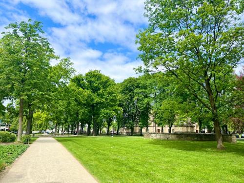 a path in a park with trees and grass at MAKERS and ROOMS APARTMENT 01 Pauline 110qm Parkplatz 1-4 Personen in Detmold