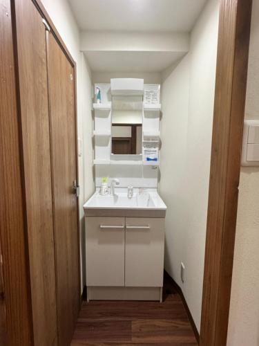 Akihabara, Skytree, Disney, Asakusa Temple, Traditional Japanese Ryokan, Airport Pick-up and Drop-off