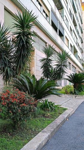 Ancient Rome Colosseum modern and bright apartment