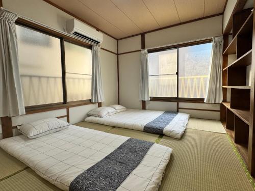 Akihabara, Skytree, Disney, Asakusa Temple, Traditional Japanese Ryokan, Airport Pick-up and Drop-off