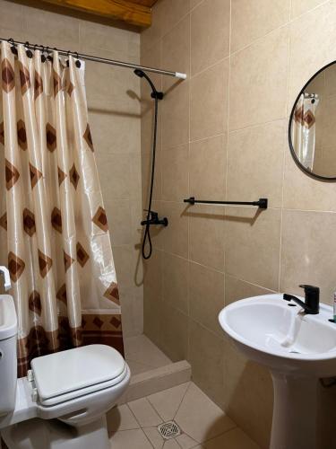 a bathroom with a toilet and a sink at Rdsa Paso in Paso de la Patria
