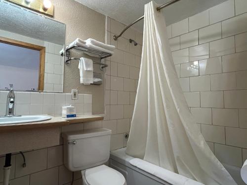 a bathroom with a toilet and a sink and a shower at JET Motor Inn - Buffalo in Buffalo