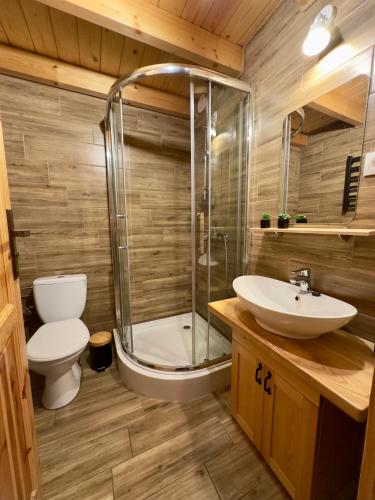 a bathroom with a shower and a toilet and a sink at Grey House Istebna in Istebna