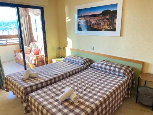 Trinisol 2-Fincas Benidorm