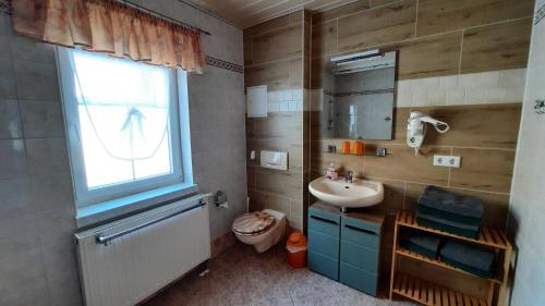 a bathroom with a sink and a toilet and a window at Ferienwohnung Renner in Kurort Altenberg