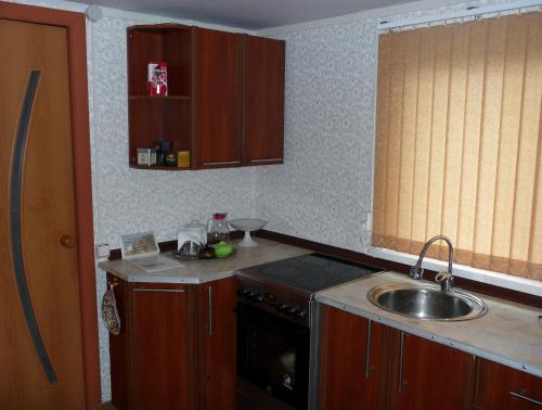 Virtuvė arba virtuvėlė apgyvendinimo įstaigoje Cottage on Krasnoarmeiskoy