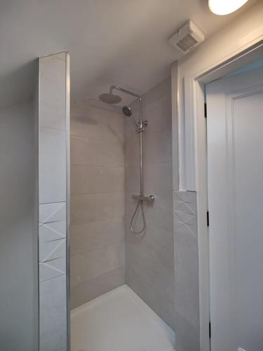 a shower with a glass door in a bathroom at Lighthouse view in Garryvoe