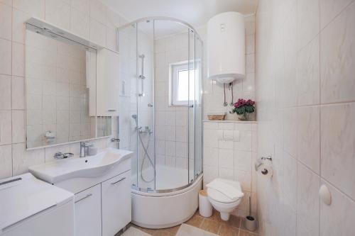 a bathroom with a shower and a toilet and a sink at Apartment Bernarda in Igrane