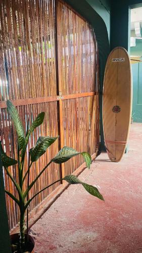 a bamboo wall with a surfboard next to a plant at Olivo Hostel, Punta Zicatela in Puerto Escondido