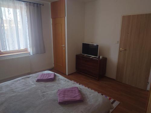 a bedroom with a bed with purple sheets and a television at Zukalka 2KK - 2 in Ostrava