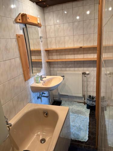 a bathroom with a sink and a bath tub and a sink at FW Langanger in Fischerndorf