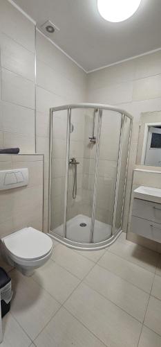 a bathroom with a shower and a toilet at Apartament Słoneczna in Radzyń