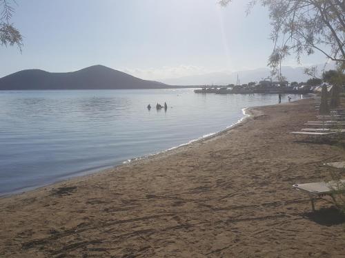 a beach with people swimming in the water at Elounda Sea Suites in Elounda