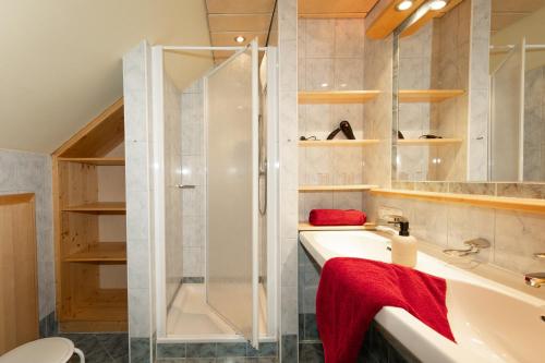 a bathroom with a shower and a sink at Dorfergut in Weisspriach