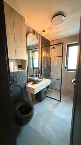 a bathroom with a toilet and a sink at La Salcami in Burzuc