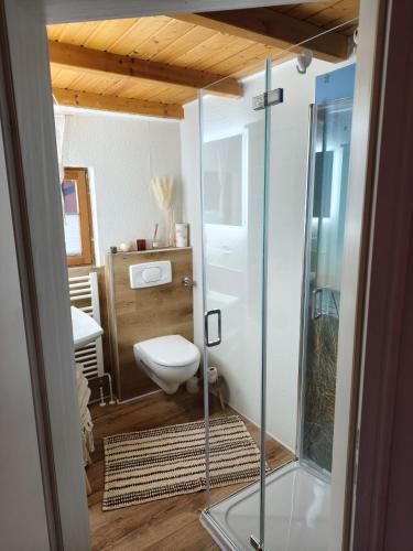 a bathroom with a toilet and a glass shower at Linnis Strandhaus in Garrel