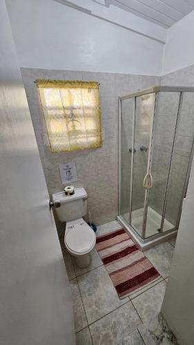 a bathroom with a toilet and a shower with a window at Ventnor House Apartments in Bridgetown