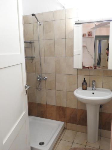 a bathroom with a sink and a shower at Eva's Eden in Vourvourou