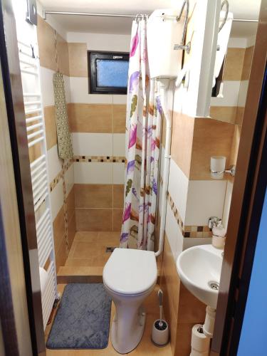 a small bathroom with a toilet and a sink at Apartmán Astomo in Vrchlabí