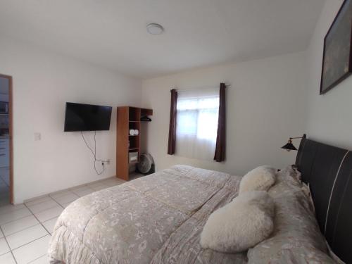 a bedroom with a large bed and a television at Departamento Privado in Guadalajara