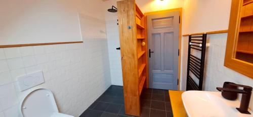 a bathroom with a toilet and a sink at Chalupa Louka in Slavonice