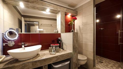 a bathroom with a sink and a toilet and a mirror at Querfurter Hof in Querfurt