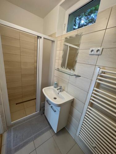 a bathroom with a sink and a shower and a mirror at Tiszafa Apartman in Csopak