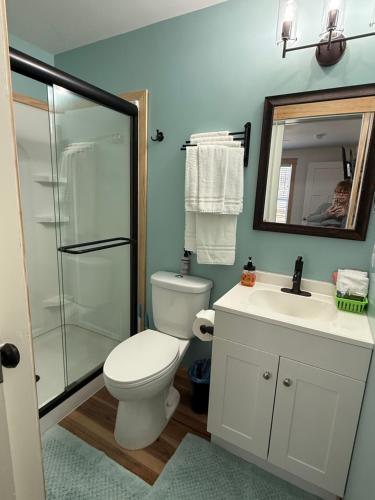 a bathroom with a toilet and a sink and a mirror at 2 Bedroom home near Mammoth Cave NP in Mammoth Cave