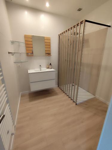 a bathroom with a sink and a mirror and a shower at La petite Amandaise in Saint-Amand-sur-Sèvre