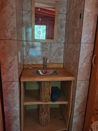 a bathroom with a sink and a mirror at Umbral del valle in Valle Hermoso