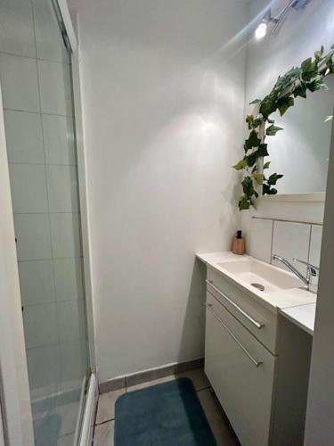 a bathroom with a shower and a sink and a mirror at La cabanne aux bambous in Villenave-dʼOrnon
