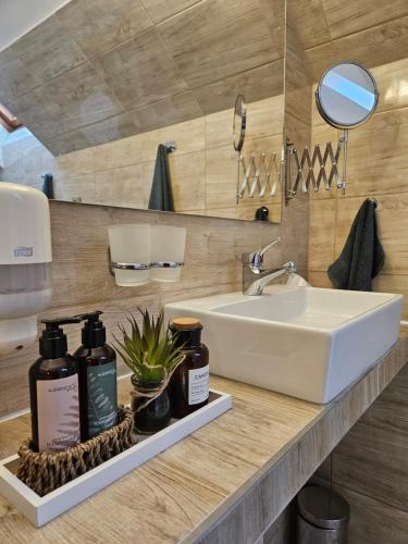 a bathroom counter with a sink and a white sink at Keller Apartman in Cserszegtomaj