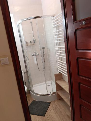 a shower with a glass door in a bathroom at KAJA Zawoja in Zawoja