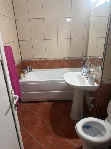a bathroom with a tub and a sink and a toilet at Kay Borsa in Alba Iulia