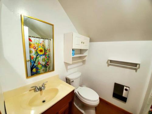 a bathroom with a sink and a toilet and a mirror at Fiddlehead Greens in Warren