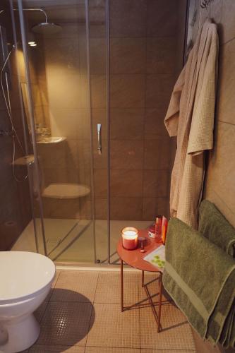 a shower in a bathroom with a toilet and a table at Domek Pod Sosnami in Bronków