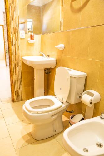a bathroom with a toilet and a sink at Departamentos Valle de los Andes in San Rafael
