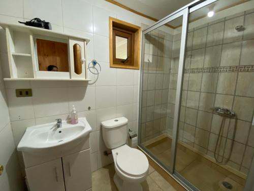 a bathroom with a shower and a toilet and a sink at Cabañas Antonia in Futaleufú