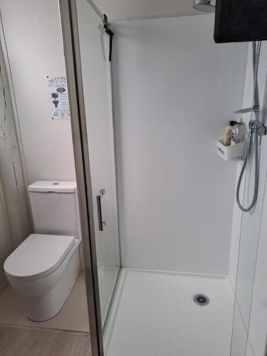 a white bathroom with a toilet and a shower at Fieldview Arapuni B&B in Putaruru