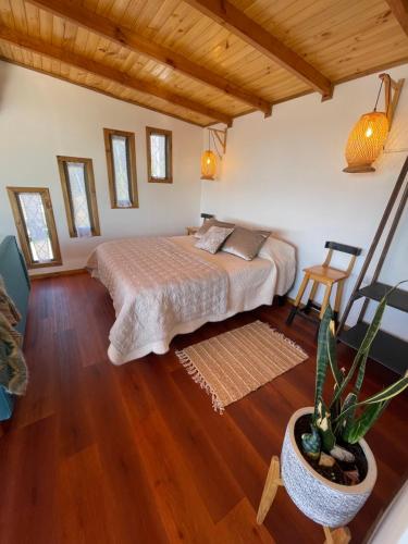 a bedroom with a bed and a potted plant at Cabañas Refugio Costero in Pelluhue