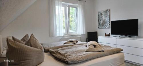 a bedroom with a bed with pillows and a television at Sternenhimmel in Lenz
