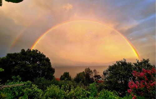 Nice Home In Opatija With Wifi