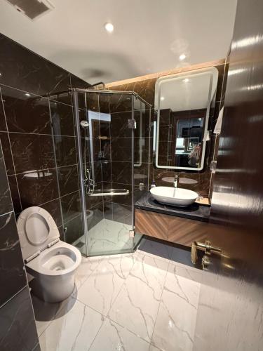 a bathroom with a toilet and a shower and a sink at Hanaco Homestay in Hai Phong