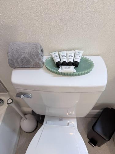 a white toilet with two towels and a plate on it at Tampa Bays Hidden Gem in Tampa