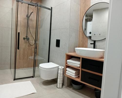 a bathroom with a shower and a toilet and a sink at Apartament 37 in Sosnowiec