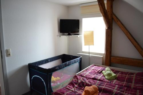 ein Schlafzimmer mit einem Kinderbett mit einem TV an der Wand in der Unterkunft Lang´s Ferienwohnungen in Kurort Oberwiesenthal