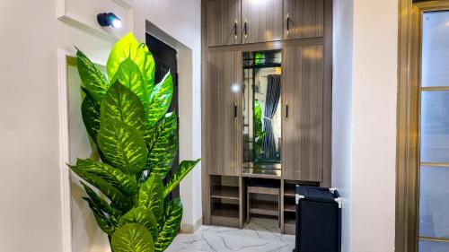 a hallway with a large green plant next to a door at Jayhaven Crystal Serviced Apartment in Uyo